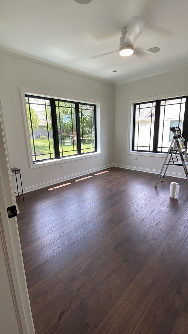 LB Premium Painting project