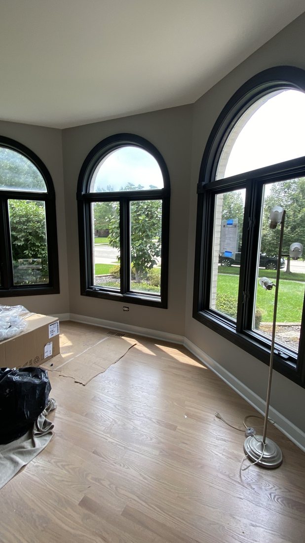 LB Premium Painting project